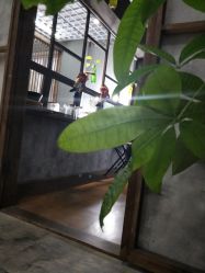 -玛雅儿童摄影(栢都荟购物广场店)