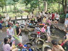 -成都市活水公园