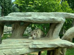 -北京野生动物园