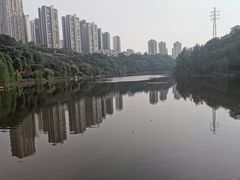 -重庆彩云湖湿地公园