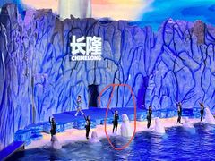 -珠海长隆海洋王国