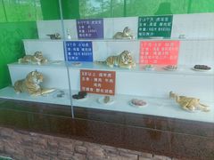 -横道河子东北虎林园