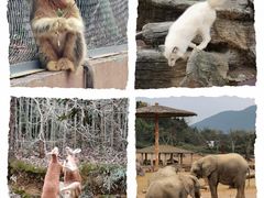 -杭州野生动物世界