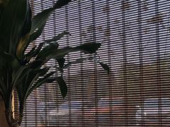 -徽三说·土徽菜·中国徽菜连锁品牌(一中店)