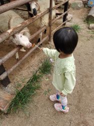 -童心园麦窑·儿童拓展探宝乐园