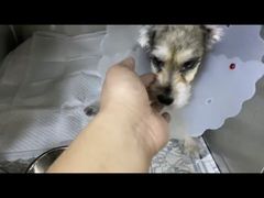 -美联众合动物医院·24h转诊中心