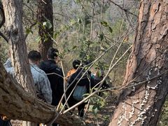 -青龙山国家森林公园