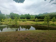 -宜兴龙背山森林公园