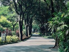 -晓港公园