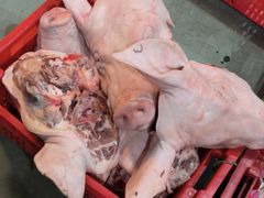 -西郊国际农产品交易中心