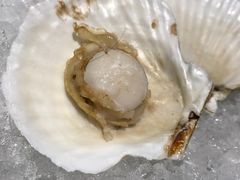 -长春高新益田福朋喜来登酒店·宜客乐标帜餐厅