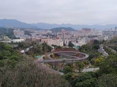 -福道
