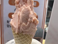 -野人先生现做冰淇淋(西安赛格店)