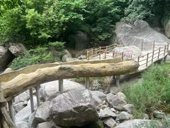 -洛阳白云山景区