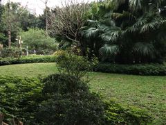 -晓港公园