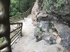 -天女山森林公园