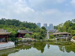 -顺峰山公园
