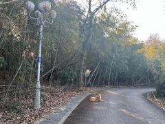 -池州市平天湖风景区