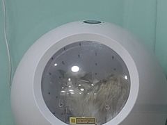 -中农大我爱我爱动物医院·核磁CT·猫病·24小时夜诊中心(石佛营店)