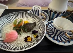 -广州和睦家医院·医学月子