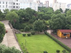 -浙江越秀外国语学院