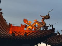 -大召无量寺