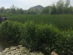 -前关湿地公园