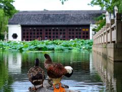 -杭州西子湖四季酒店·金沙厅