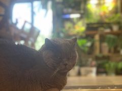 -Rabbit Cafe私房西餐甜点咖啡(栖霞路店)