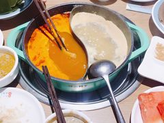 -青瓷火锅料理(西单大悦城店)