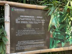 -呀路古热带植物园