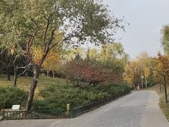 -北坞公园