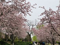 -元大都城垣遗址公园