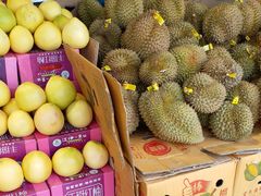 金枕榴莲-水果天空(东葛店)