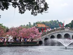 -宝墨园景区