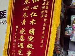 -宠爱国际动物医院·疑难骨科·心肾内科·皮肤科(太阳宫店)