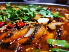 -食鸡公社辣子鸡·潍坊菜·烧烤