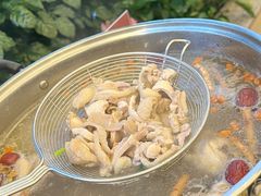 五指毛桃嫩鸡锅-小煵记·打边炉(西丽文光店)