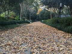 -杭州少年儿童公园