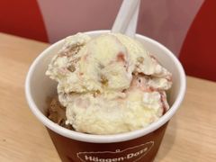 -哈根达斯(石家庄北国店)