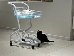 -怪兽屋·羊驼·猫咖·狗咖(俊华广场店)