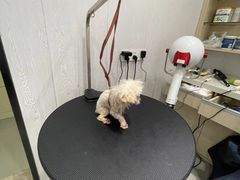 -宠颐生动物医院·小陆分院
