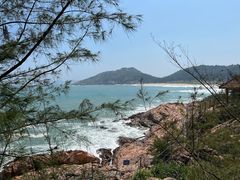 -广东惠东海龟国家级自然保护区