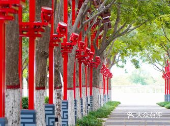 齐文化博物馆：山东人文之旅必打卡博物馆