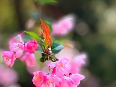 -江南大学(蠡湖校区)