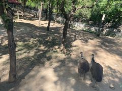 -石家庄市动物园