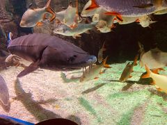 -太平洋海底世界