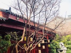 -武汉园博园(武汉自然博物馆)