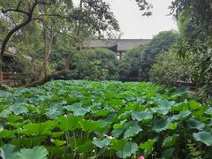 -成都武侯祠博物馆