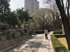 -团结湖公园